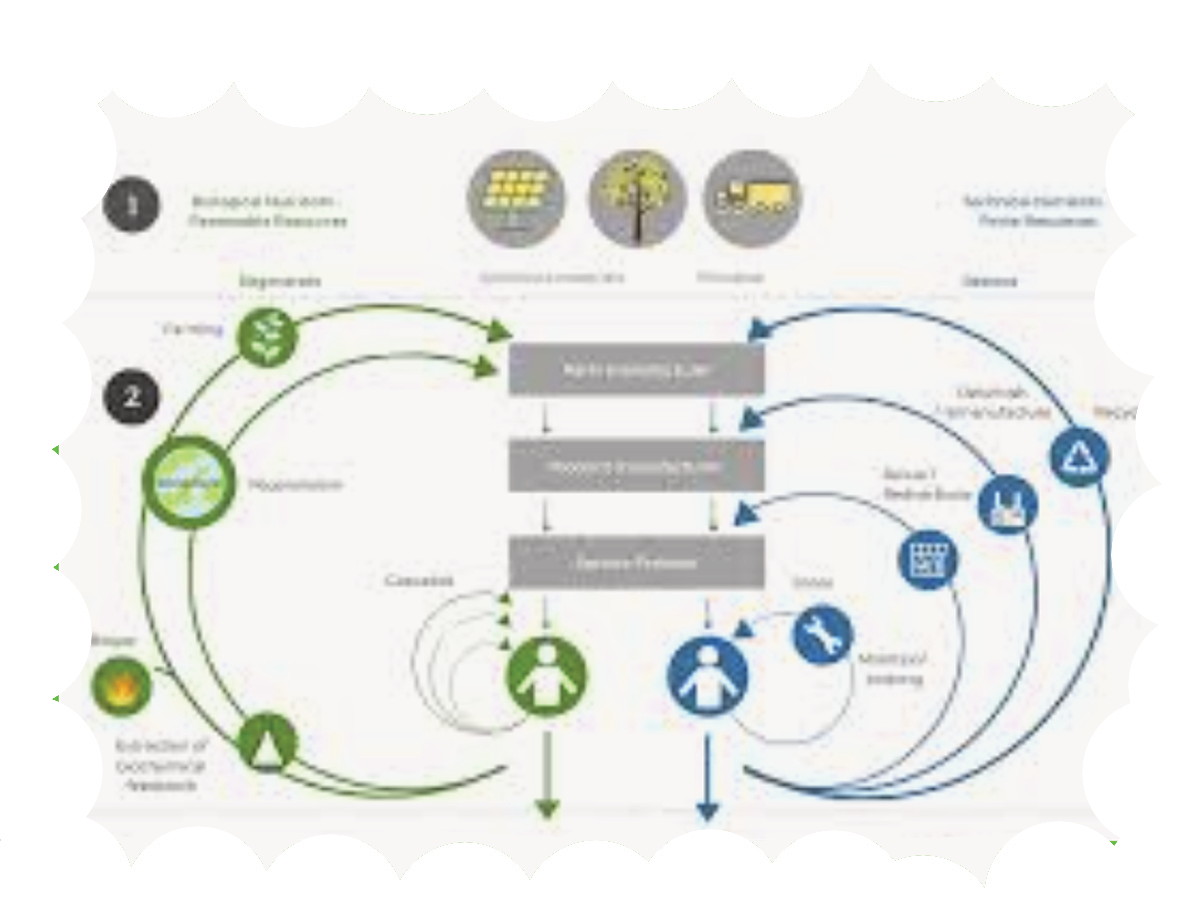 Circular Economy - hearing aid tales