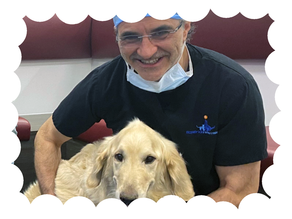 Hearing Aids Direct Dog Angus with Noel Fitzpatrick Supervet