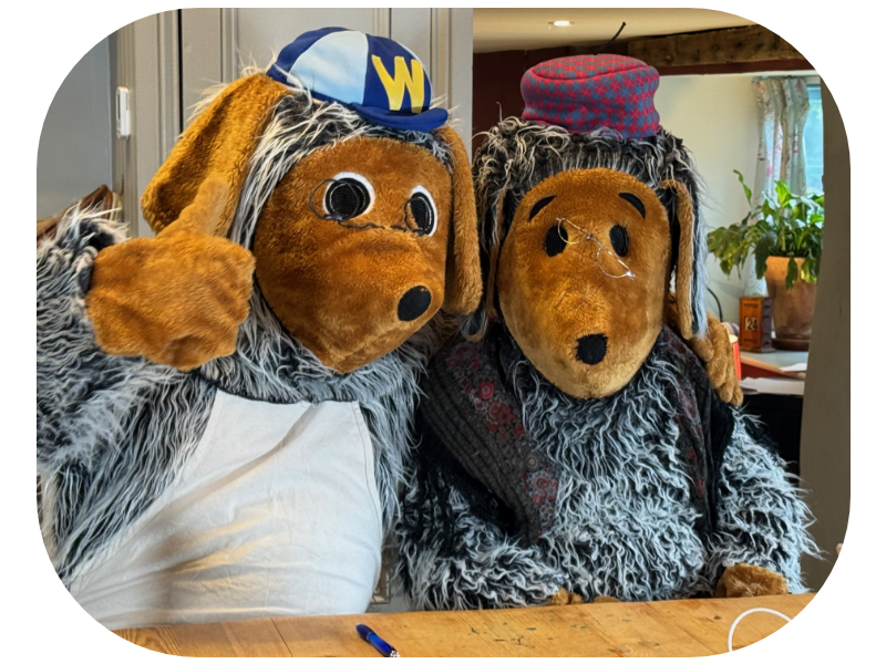 Wombles resolve to get a secondhand hearing aid